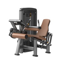 Leg Curl Extention